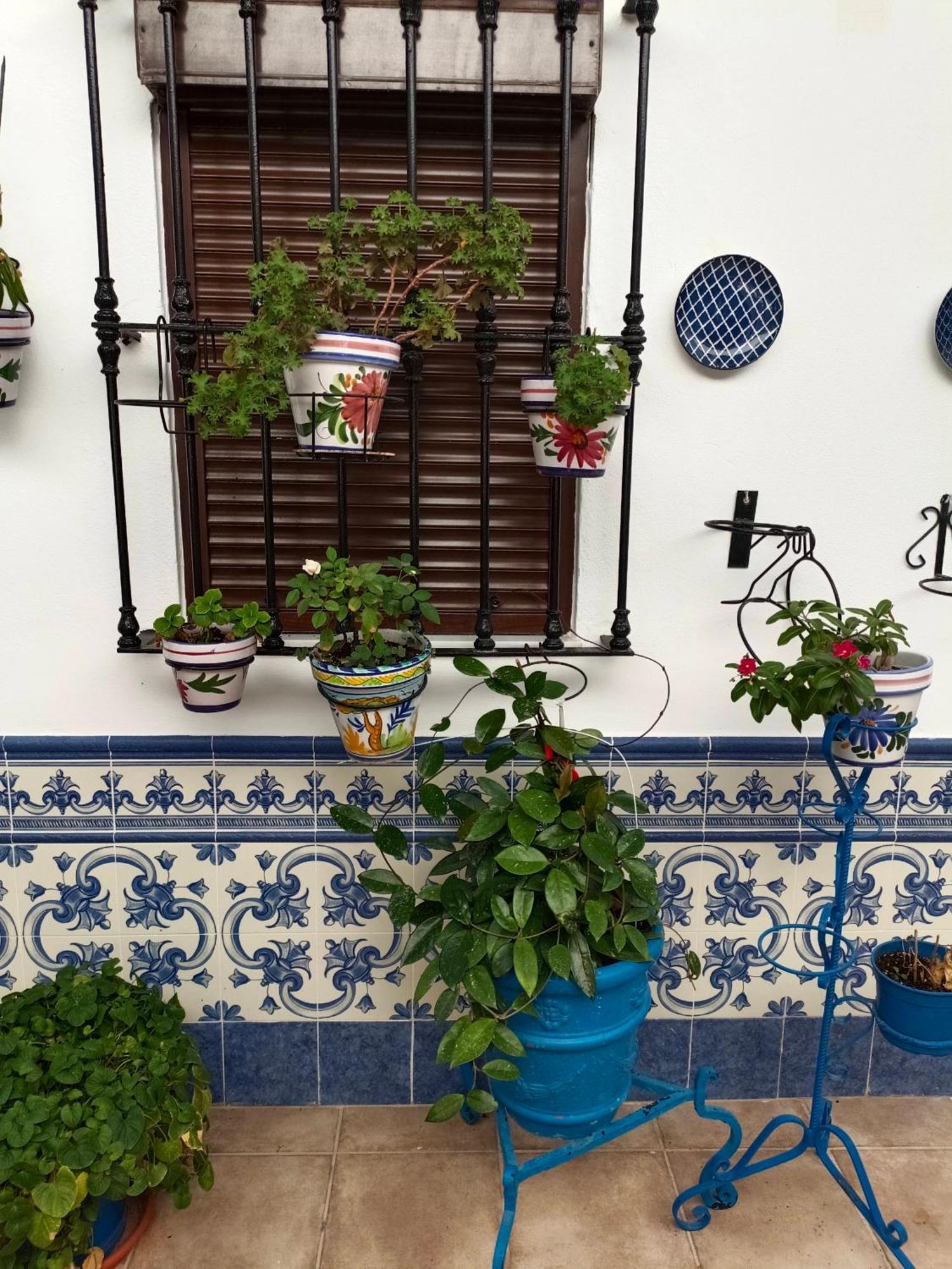 Casa Rural Patio Rociero El Rocio Ngoại thất bức ảnh